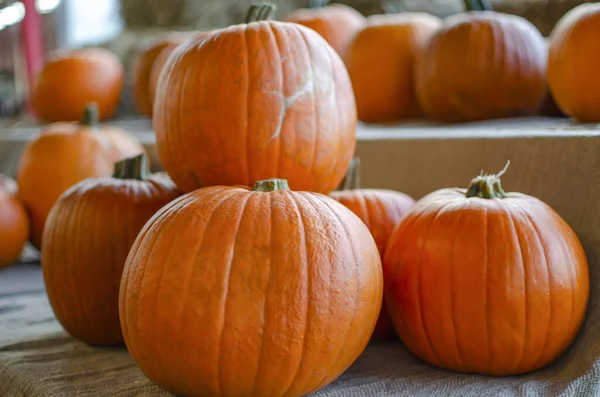 Zucca di Halloween. Zucca su uno sfondo di fieno in stile rustico. Sfondo per Halloween. Posto per testo — Foto Stock