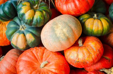 Cadılar Bayramı balkabağı. Balkabağı samanların arka planında kırsal bir tarzda. Cadılar Bayramı için arka plan. Metin için yer