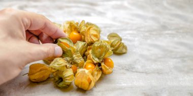 Physalis kontrol altında. El, tatlı sarı fisalis üzümlerini alır olgunlaşmış physalis meyveleri mermer masanın üstünde yatar. Metinleriniz, tasarım veya ürün etiketiniz için yer