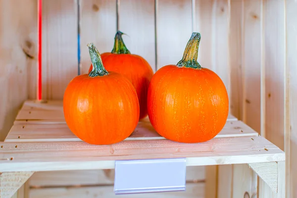 Dynia na Halloween. Dynia na tle siana w stylu rustykalnym. Tło na Halloween. Miejsce na tekst — Zdjęcie stockowe