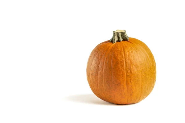 Zucca su sfondo bianco. Isolato zucca di Halloween isolato su bianco da inserire nel vostro progetto o design. Una zucca arancione getta un'ombra — Foto Stock