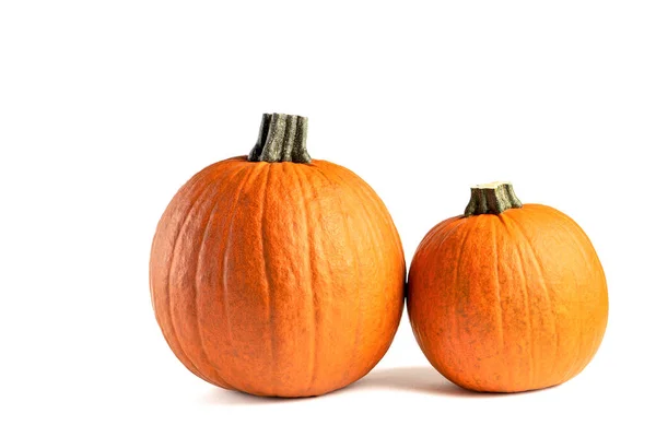 Calabaza sobre fondo blanco. Aislado halloween calabaza aislar en blanco para insertar en su proyecto o diseño. Dos calabazas naranjas proyectando una sombra —  Fotos de Stock