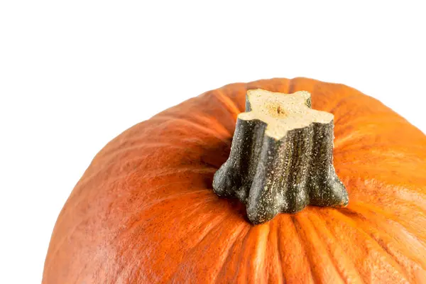 Kürbis auf weißem Hintergrund. Halloween-Kürbisse isolieren sich auf Weiß. — Stockfoto