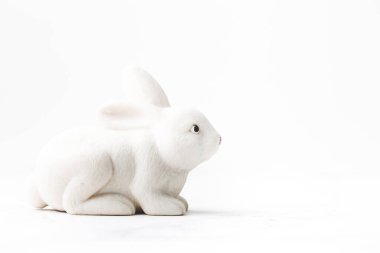 Beyaz arka planda beyaz tavşanın makro çekimi. Paskalya arkaplanı