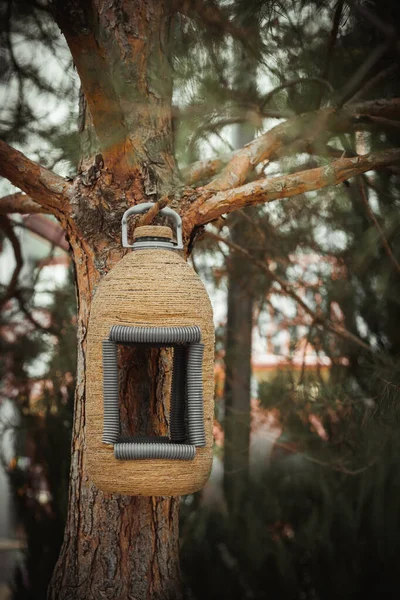 モミの木に吊るされた創造的な手作りのバードハウス 市内公園のバードフィーダー — ストック写真