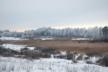 Kışın bataklıkla birlikte manzara