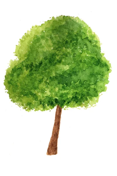 Green tree in watercolor — Stock Photo, Image