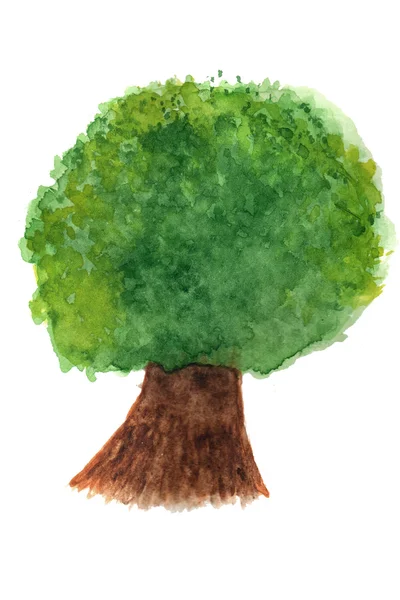 Arbre vert aquarelle — Photo