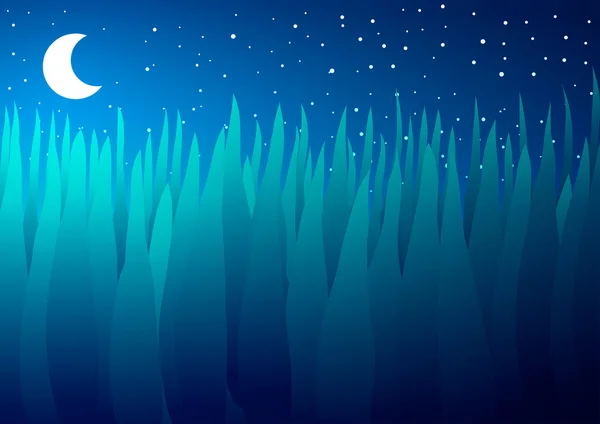 Illustration vectorielle. Herbe et lune la nuit . — Image vectorielle