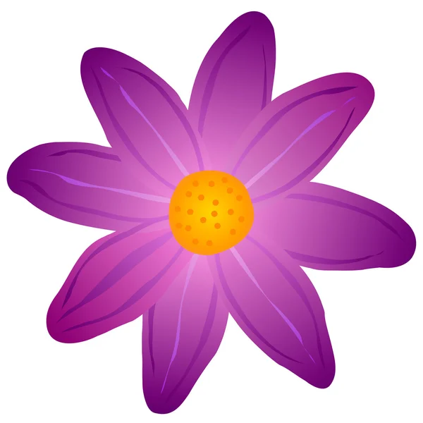 Vector illustration. Purple flower on a white background. — Stock Vector