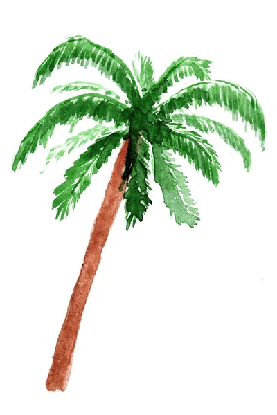Palmboom in aquarel. — Stockfoto