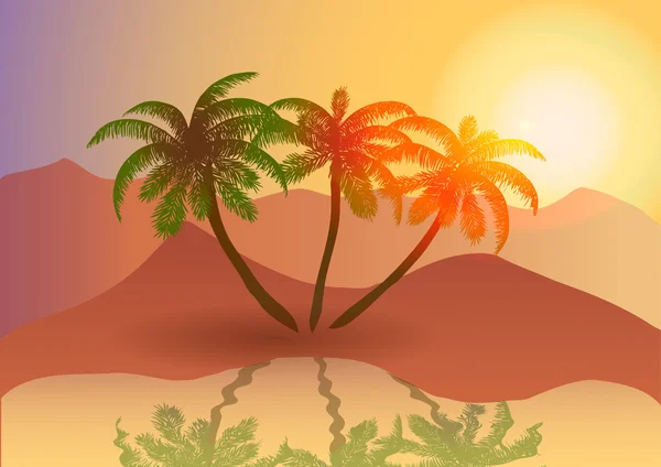 Vektorové ilustrace. Oáza v poušti při západu slunce. — Stockový vektor
