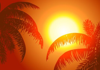 Vektör çizim. Ve gün batımında palmiye ağaçlarının yaprakları.