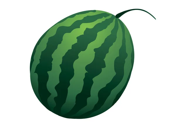 Vectorillustratie. Waterlemon op een witte achtergrond. — Stockvector