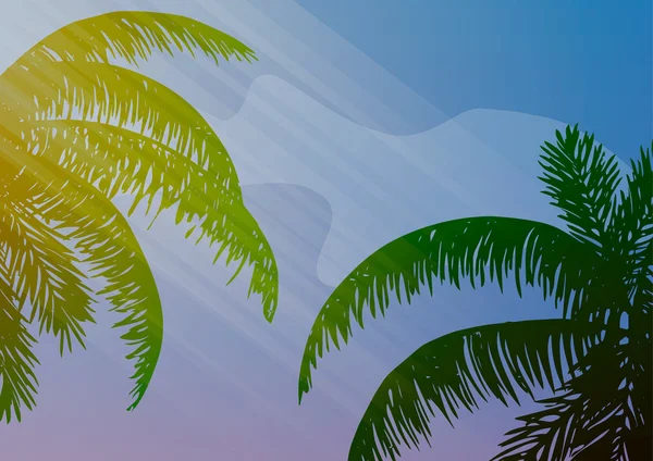 Vektorillustration. die Blätter der Palmen in den Sonnenstrahlen. — Stockvektor