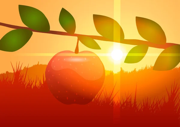 矢量图。在日落时树上的苹果. — 图库矢量图片