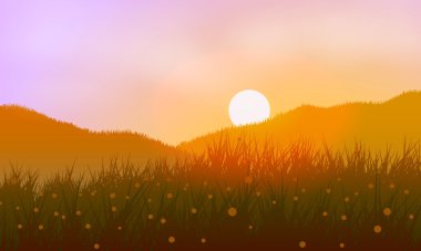 Vektör çizim. Yaz. Gün batımında Meadows.