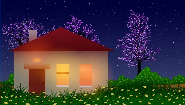 Petite maison au milieu d'une prairie fleurie et d'arbres la nuit — Image vectorielle