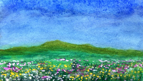 Grönt gräs och blommor på äng i akvarell — Stockfoto