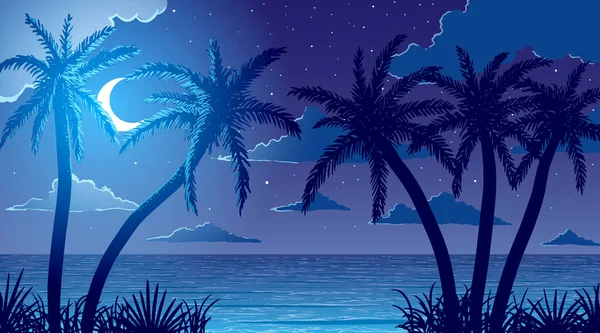 Διανυσματική ήρεμη παραλία ακτή του ωκεανού και φοίνικες στο γρασίδι τη νύχτα — Διανυσματικό Αρχείο