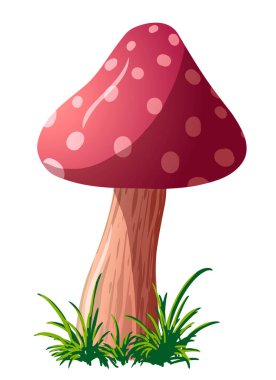 Beyaz arka planda izole edilmiş vektör mantar sineği.