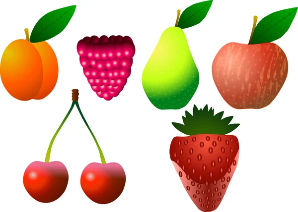Früchte. Aprikose, Himbeere, Birne, Apfel, Kirsche und Erdbeere. — Stockvektor