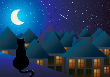 Kedi çatıya ve gece ve ay şehir izlerken oturur.