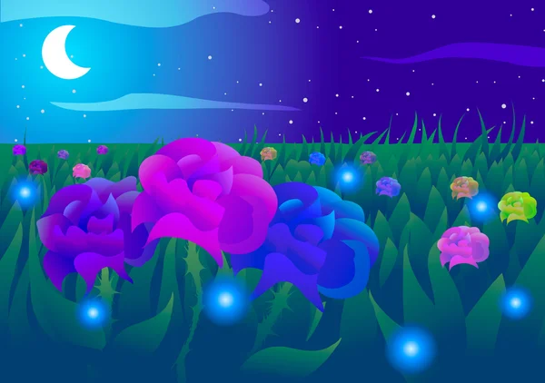 Field of roses at night. — Stock Vector