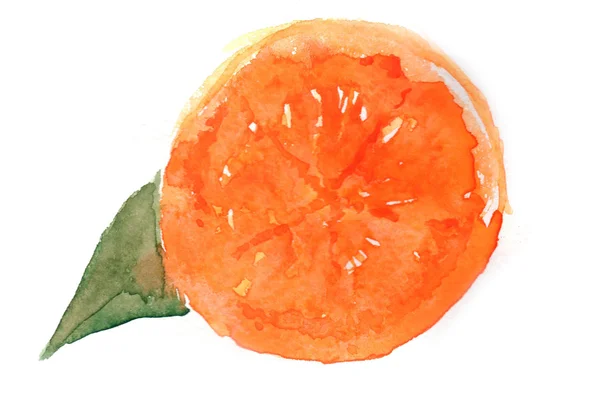 Naranja en acuarela — Foto de Stock