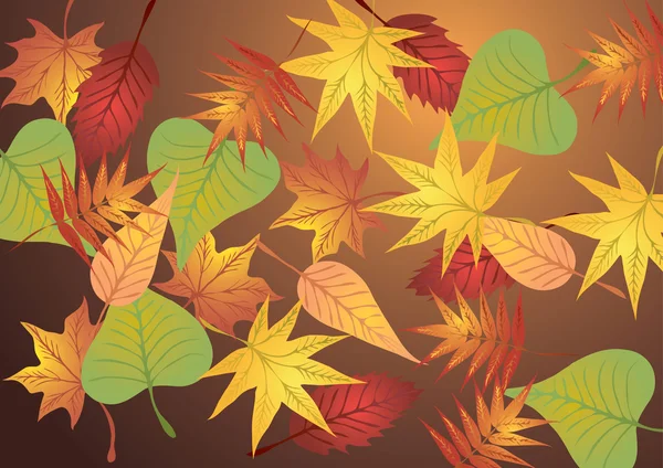 Ilustración vectorial. Hojas de otoño . — Vector de stock