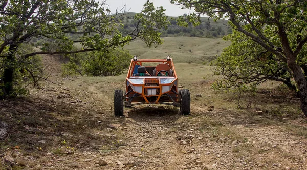 Coche Deportivo Buggy Camino Montaña Bajo Ramas Árboles Día Soleado —  Fotos de Stock