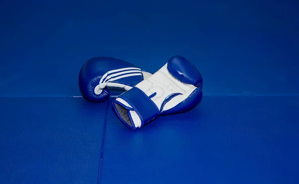 Martial arts gloves lie on a blue tatami close-up
