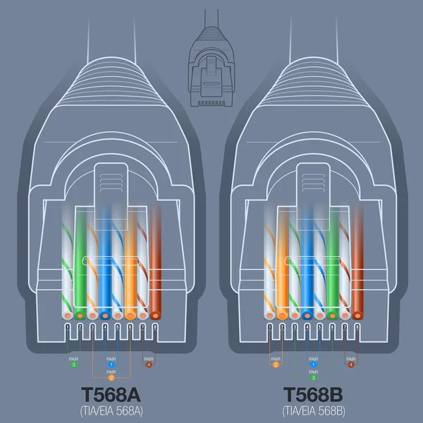 Network Cable Connector Wiring Diagram — Stock Vector