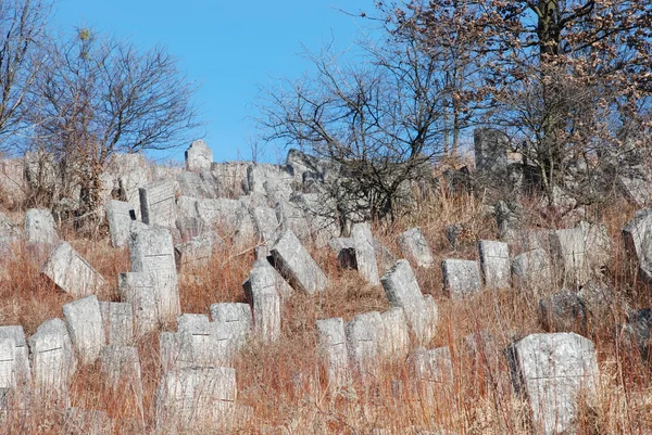 오래 된, zakynute, 자란된 묘지 — 스톡 사진