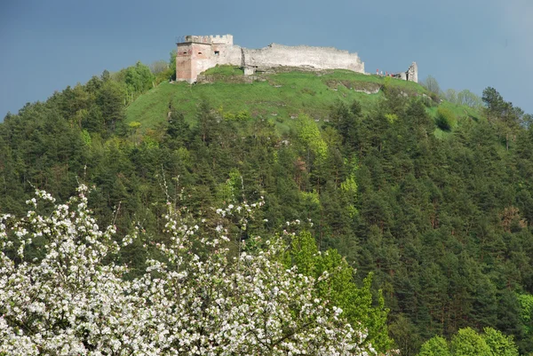 Verdedigingsmuren van Castle Hill — Stockfoto