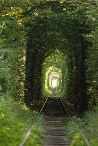"tunel of love" — Zdjęcie stockowe