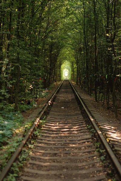 "tunnel av kärlek" — Stockfoto