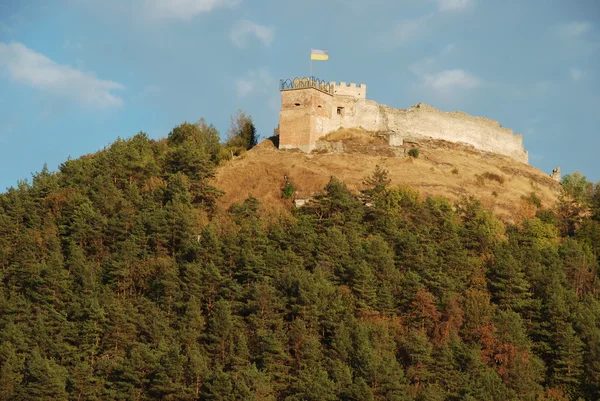 Загальний вигляд Замковій горі — стокове фото