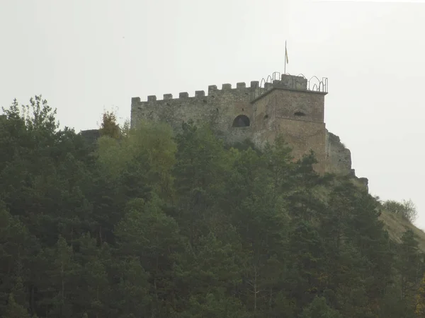 Vue Générale Colline Château — Photo