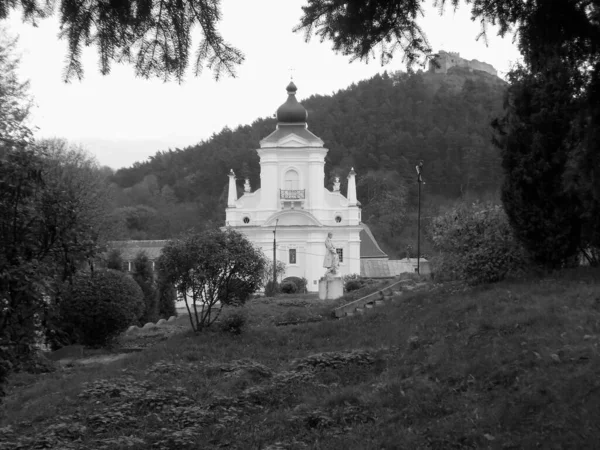 Nikolaus Kathedrale Franziskanerkloster Und Burgwald — Stockfoto