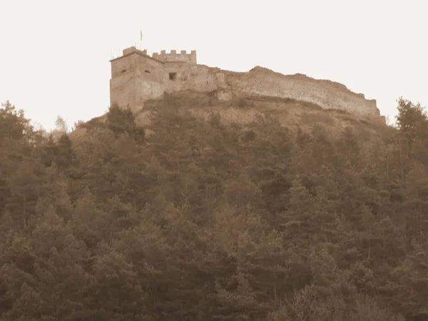 Vue Générale Colline Château — Photo