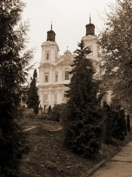 Cathédrale Transfiguration — Photo