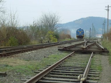 Demiryolu şubesi, genel görüş