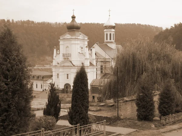 Никольский Собор Францисканский Монастырь — стоковое фото