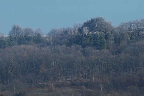 Велич Карпатських Гір Лісів — стокове фото