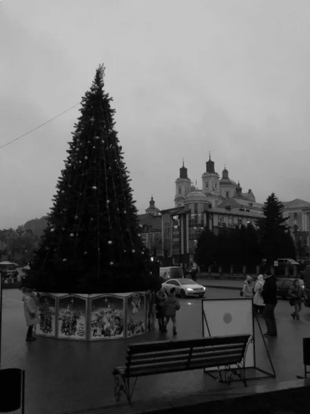 Christmas Tree Old Town Christmas Tree Old Town — Stock Photo, Image