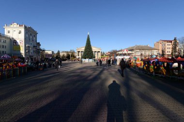 Eski kasaba meydanındaki Noel ağacı. Noel ağacı, eski meydan, şehir, yapay, dallar, çelenkler, genel manzara, yeşil, mücevherler, iğneler, yeni yıl, oyuncaklar, ağaç, gövde.