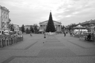 Eski kasaba meydanındaki Noel ağacı. Noel ağacı, eski meydan, şehir, yapay, dallar, çelenkler, genel manzara, yeşil, mücevherler, iğneler, yeni yıl, oyuncaklar, ağaç, gövde.