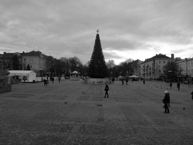 Eski kasabada Noel ağacı. Noel ağacı, eski kasaba.                  