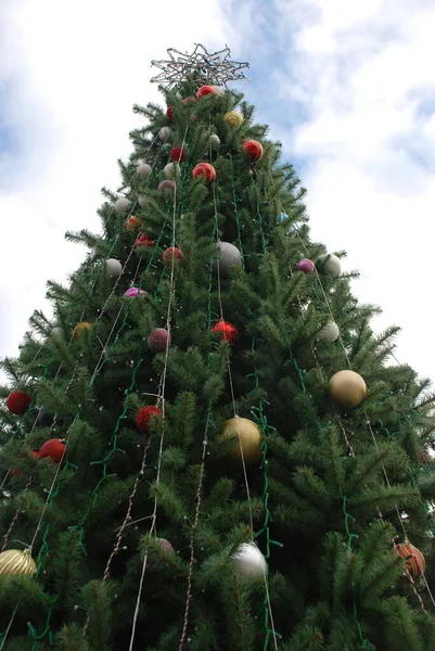 Χριστουγεννιάτικο Δέντρο Στην Κεντρική Πλατεία — Φωτογραφία Αρχείου